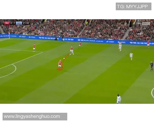 北京网球队状态分析：技术提升与赛事表现的全面解读