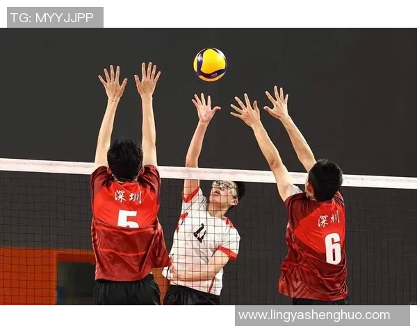 武汉排球队的比赛经验揭秘：从训练到赛场的全方位分析与分享