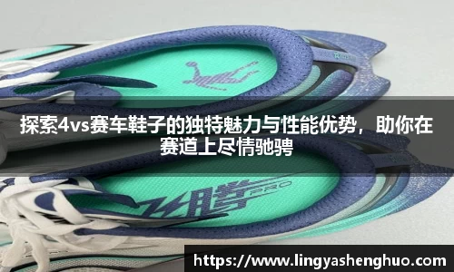 探索4vs赛车鞋子的独特魅力与性能优势，助你在赛道上尽情驰骋