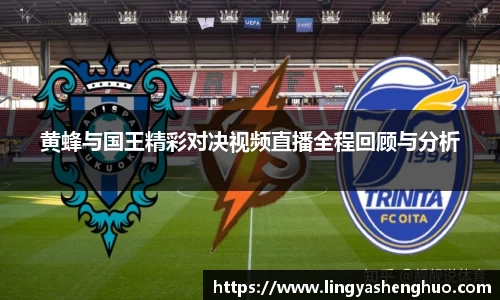 黄蜂与国王精彩对决视频直播全程回顾与分析